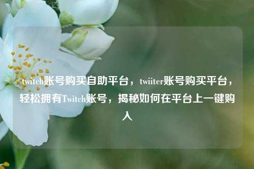 twitch账号购买自助平台，twiiter账号购买平台，轻松拥有Twitch账号，揭秘如何在平台上一键购入