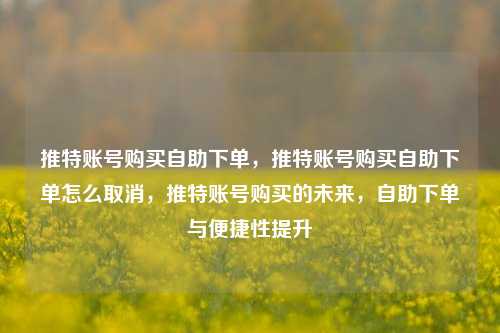 推特账号购买自助下单，推特账号购买自助下单怎么取消，推特账号购买的未来，自助下单与便捷性提升