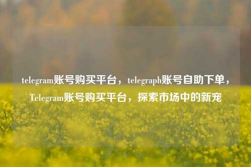telegram账号购买平台，telegraph账号自助下单，Telegram账号购买平台，探索市场中的新宠