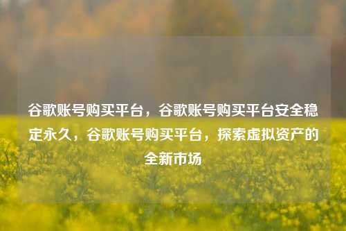 谷歌账号购买平台，谷歌账号购买平台安全稳定永久，谷歌账号购买平台，探索虚拟资产的全新市场