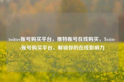 twitter账号购买平台，推特账号在线购买，Twitter账号购买平台，解锁你的在线影响力