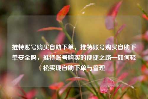 推特账号购买自助下单，推特账号购买自助下单安全吗，推特账号购买的便捷之路—如何轻松实现自助下单与管理