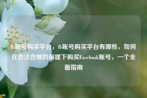 fb账号购买平台，fb账号购买平台有哪些，如何在合法合规的前提下购买Facebook账号，一个全面指南