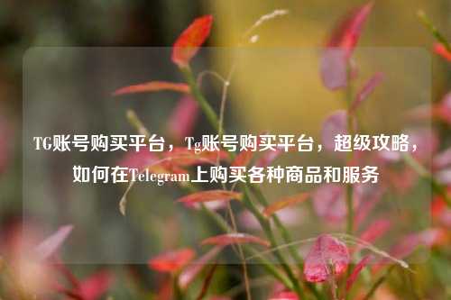 TG账号购买平台，Tg账号购买平台，超级攻略，如何在Telegram上购买各种商品和服务