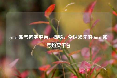 gmail账号购买平台，揭秘	，全球领先的Gmail账号购买平台  第1张