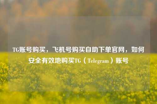 TG账号购买，飞机号购买自助下单官网，如何安全有效地购买TG（Telegram）账号