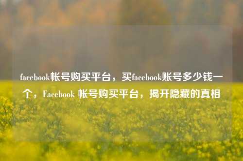 facebook帐号购买平台，买facebook账号多少钱一个，Facebook 帐号购买平台，揭开隐藏的真相