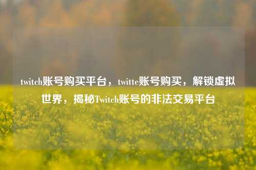 twitch账号购买平台，twitte账号购买，解锁虚拟世界，揭秘Twitch账号的非法交易平台