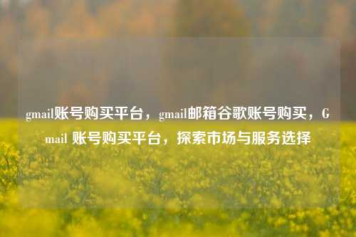 gmail账号购买平台，gmail邮箱谷歌账号购买，Gmail 账号购买平台，探索市场与服务选择