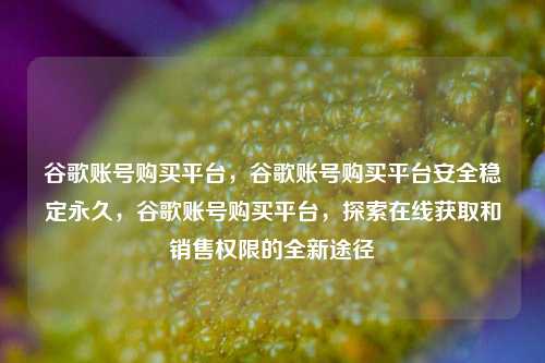 谷歌账号购买平台，谷歌账号购买平台安全稳定永久，谷歌账号购买平台，探索在线获取和销售权限的全新途径