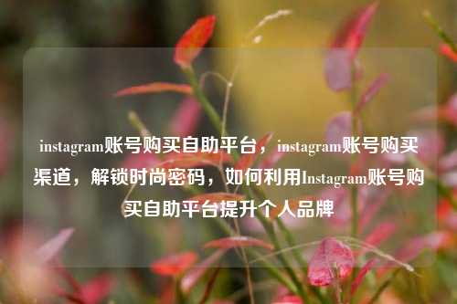 instagram账号购买自助平台，instagram账号购买渠道，解锁时尚密码，如何利用Instagram账号购买自助平台提升个人品牌