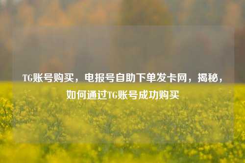 TG账号购买，电报号自助下单发卡网，揭秘，如何通过TG账号成功购买