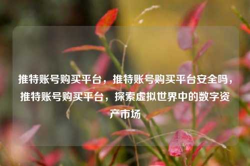 推特账号购买平台，推特账号购买平台安全吗，推特账号购买平台，探索虚拟世界中的数字资产市场