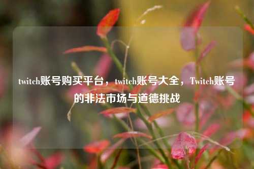 twitch账号购买平台，twitch账号大全，Twitch账号的非法市场与道德挑战