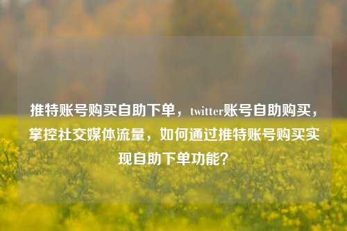 推特账号购买自助下单，twitter账号自助购买，掌控社交媒体流量，如何通过推特账号购买实现自助下单功能？  第1张