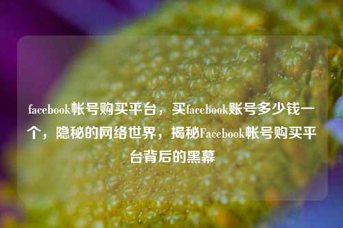 facebook帐号购买平台，买facebook账号多少钱一个，隐秘的网络世界，揭秘Facebook帐号购买平台背后的黑幕