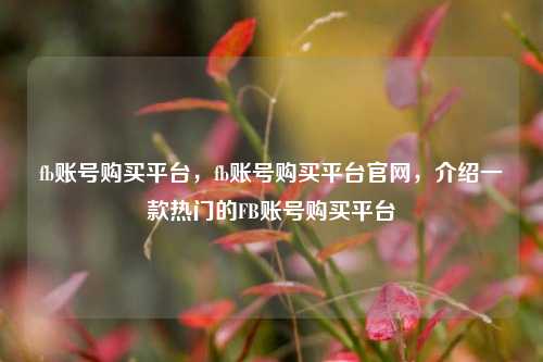 fb账号购买平台，fb账号购买平台官网，介绍一款热门的FB账号购买平台