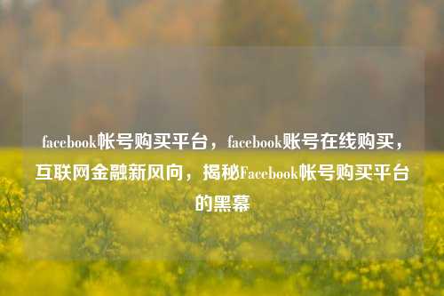 facebook帐号购买平台，facebook账号在线购买	，互联网金融新风向，揭秘Facebook帐号购买平台的黑幕  第1张