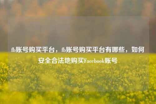 fb账号购买平台，fb账号购买平台有哪些	，如何安全合法地购买Facebook账号  第1张