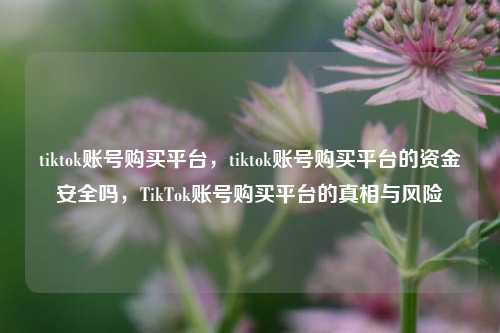 tiktok账号购买平台，tiktok账号购买平台的资金安全吗，TikTok账号购买平台的真相与风险