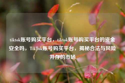 tiktok账号购买平台，tiktok账号购买平台的资金安全吗，TikTok账号购买平台，揭秘合法与风险并存的市场