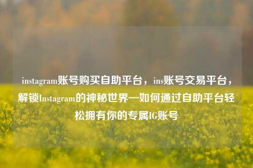 instagram账号购买自助平台，ins账号交易平台，解锁Instagram的神秘世界—如何通过自助平台轻松拥有你的专属IG账号