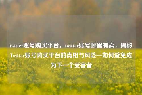 twitter账号购买平台，twitter账号哪里有卖，揭秘Twitter账号购买平台的真相与风险—如何避免成为下一个受害者