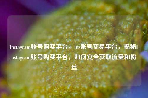 instagram账号购买平台，ins账号交易平台，揭秘Instagram账号购买平台，如何安全获取流量和粉丝