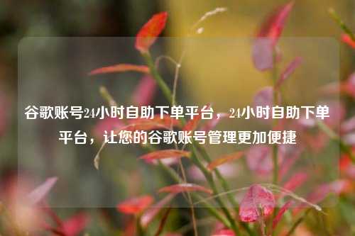 谷歌账号24小时自助下单平台，24小时自助下单平台，让您的谷歌账号管理更加便捷