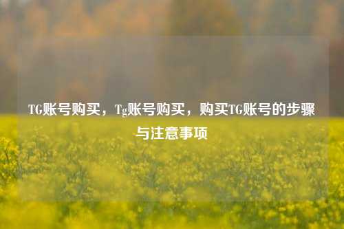 TG账号购买，Tg账号购买，购买TG账号的步骤与注意事项