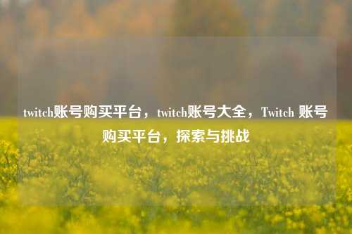 twitch账号购买平台，twitch账号大全，Twitch 账号购买平台，探索与挑战