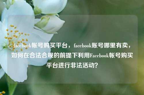 facebook帐号购买平台，facebook账号哪里有卖，如何在合法合规的前提下利用Facebook帐号购买平台进行非法活动？