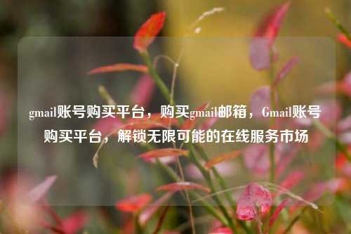 gmail账号购买平台，购买gmail邮箱，Gmail账号购买平台，解锁无限可能的在线服务市场