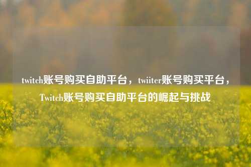 twitch账号购买自助平台，twiiter账号购买平台，Twitch账号购买自助平台的崛起与挑战