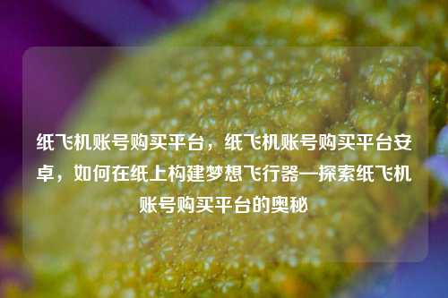 纸飞机账号购买平台，纸飞机账号购买平台安卓，如何在纸上构建梦想飞行器—探索纸飞机账号购买平台的奥秘