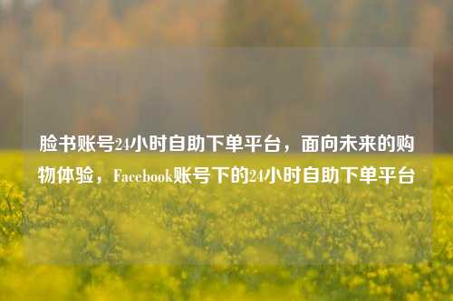 脸书账号24小时自助下单平台，面向未来的购物体验，Facebook账号下的24小时自助下单平台