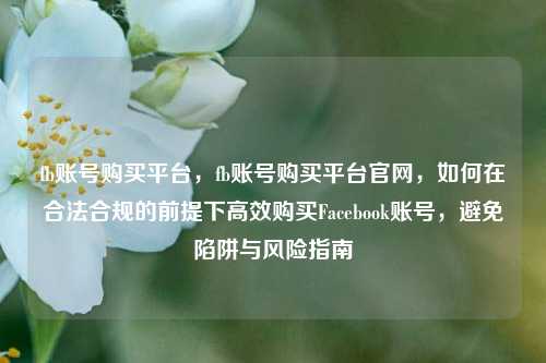 fb账号购买平台，fb账号购买平台官网，如何在合法合规的前提下高效购买Facebook账号，避免陷阱与风险指南