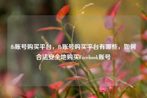 fb账号购买平台，fb账号购买平台有哪些	，如何合法安全地购买Facebook账号  第1张