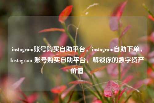 instagram账号购买自助平台	，instagram自助下单，Instagram 账号购买自助平台，解锁你的数字资产价值  第1张