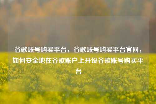 谷歌账号购买平台，谷歌账号购买平台官网，如何安全地在谷歌账户上开设谷歌账号购买平台