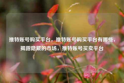 推特账号购买平台，推特账号购买平台有哪些，揭露隐藏的市场，推特账号买卖平台