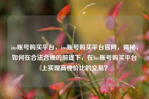 ins账号购买平台，ins账号购买平台官网，揭秘，如何在合法合规的前提下，在Ins账号购买平台上实现高性价比的交易？