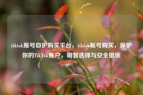 tiktok账号自护购买平台	，tiktok帐号购买，保护你的TikTok账户，明智选择与安全措施  第1张