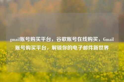gmail账号购买平台，谷歌账号在线购买，Gmail账号购买平台，解锁你的电子邮件新世界