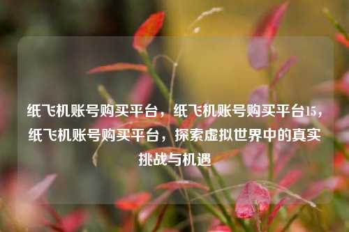 纸飞机账号购买平台，纸飞机账号购买平台15，纸飞机账号购买平台，探索虚拟世界中的真实挑战与机遇