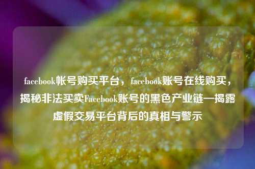 facebook帐号购买平台，facebook账号在线购买，揭秘非法买卖Facebook账号的黑色产业链—揭露虚假交易平台背后的真相与警示  第1张