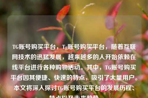 TG账号购买平台，Tg账号购买平台，随着互联网技术的迅猛发展，越来越多的人开始依赖在线平台进行各种购物活动。其中，TG账号购买平台因其便捷、快速的特点，吸引了大量用户。本文将深入探讨TG账号购买平台的发展历程、特点以及未来趋势
