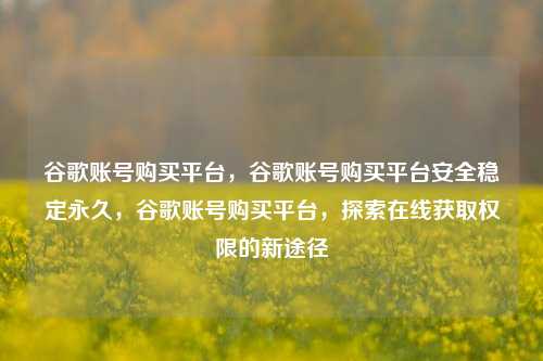谷歌账号购买平台，谷歌账号购买平台安全稳定永久，谷歌账号购买平台，探索在线获取权限的新途径