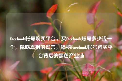 facebook帐号购买平台，买facebook账号多少钱一个，隐瞒真相的谎言，揭秘Facebook帐号购买平台背后的黑色产业链