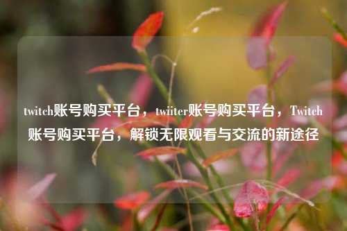 twitch账号购买平台，twiiter账号购买平台，Twitch账号购买平台，解锁无限观看与交流的新途径
